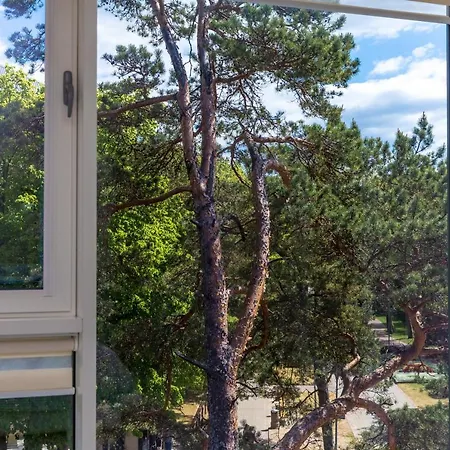 Meiles Alejos Apartamentai * Palanga